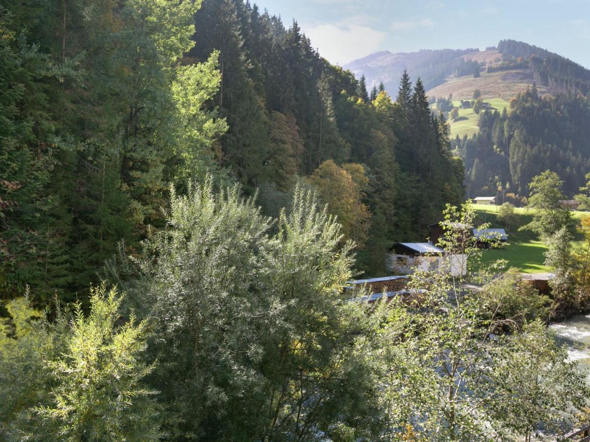 Apartment In Salzburgerland Near The Ski Area Viehhofen Exteriér fotografie