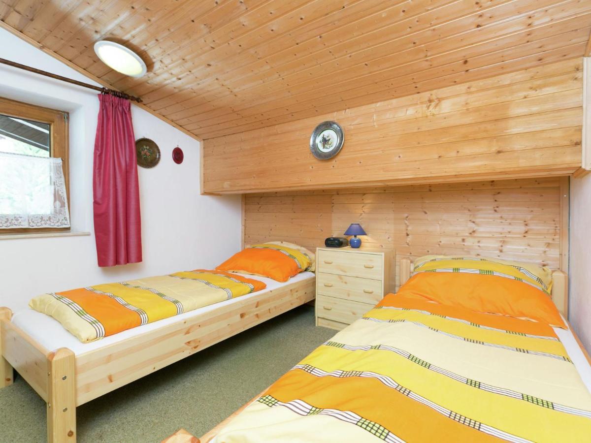 Apartment In Salzburgerland Near The Ski Area Viehhofen Exteriér fotografie