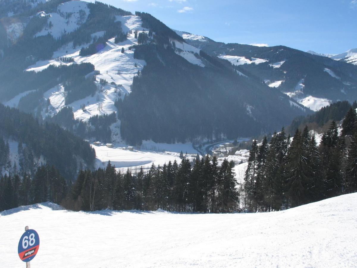 Apartment In Salzburgerland Near The Ski Area Viehhofen Exteriér fotografie