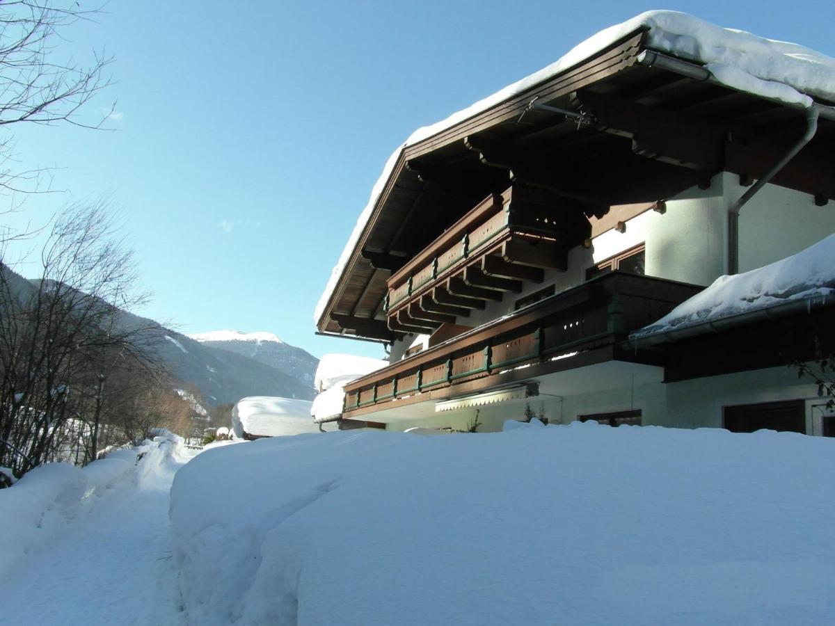 Apartment In Salzburgerland Near The Ski Area Viehhofen Exteriér fotografie